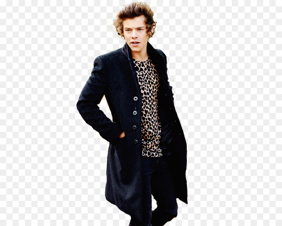 Harry Styles Png (104+ images in Collection) Page 2.