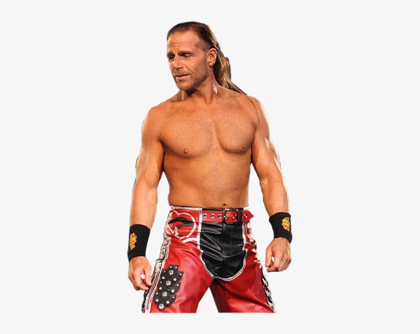 Shawn Michaels Hbk.