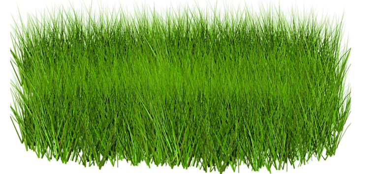 Grass PNG Images, Pictures #520475.