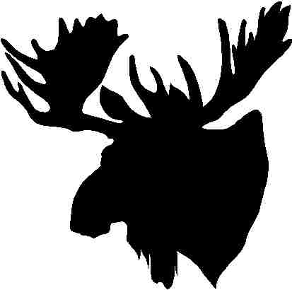 Pics For > Black And White Moose Head.