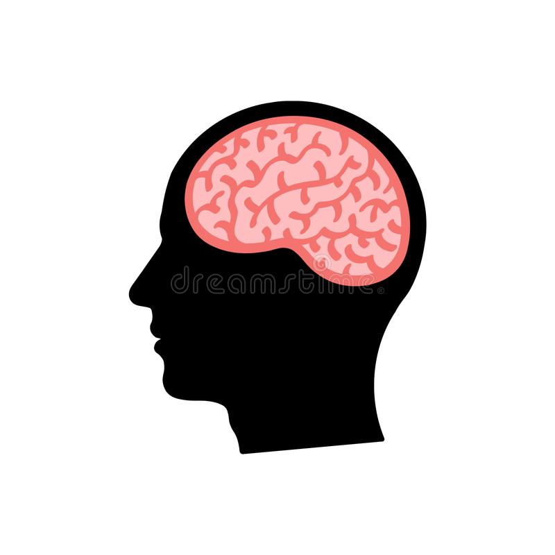 Head Brain Silhouette Stock Illustrations.