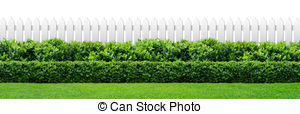 Hedge Clip Art and Stock Illustrations. 1,768 Hedge EPS.