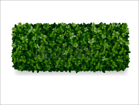 2,548 Hedges Stock Illustrations, Cliparts And Royalty Free Hedges.