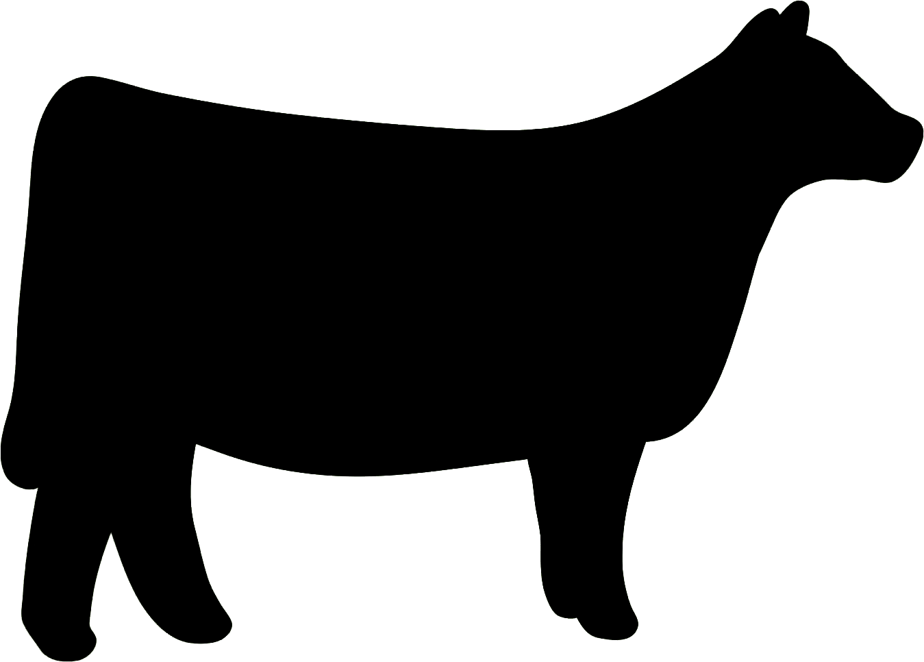 Shorthorn Hereford cattle Chianina Clip art.