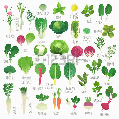 70,922 Herb Cliparts, Stock Vector And Royalty Free Herb Illustrations.