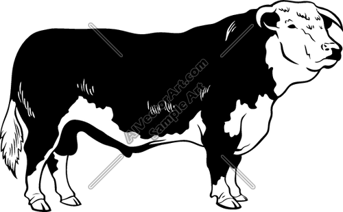 Image result for hereford cattle signs.