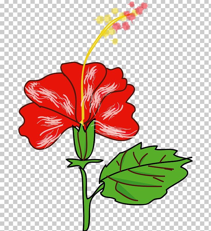 Shoeblackplant Flower Hawaiian Hibiscus Drawing PNG, Clipart, Art.