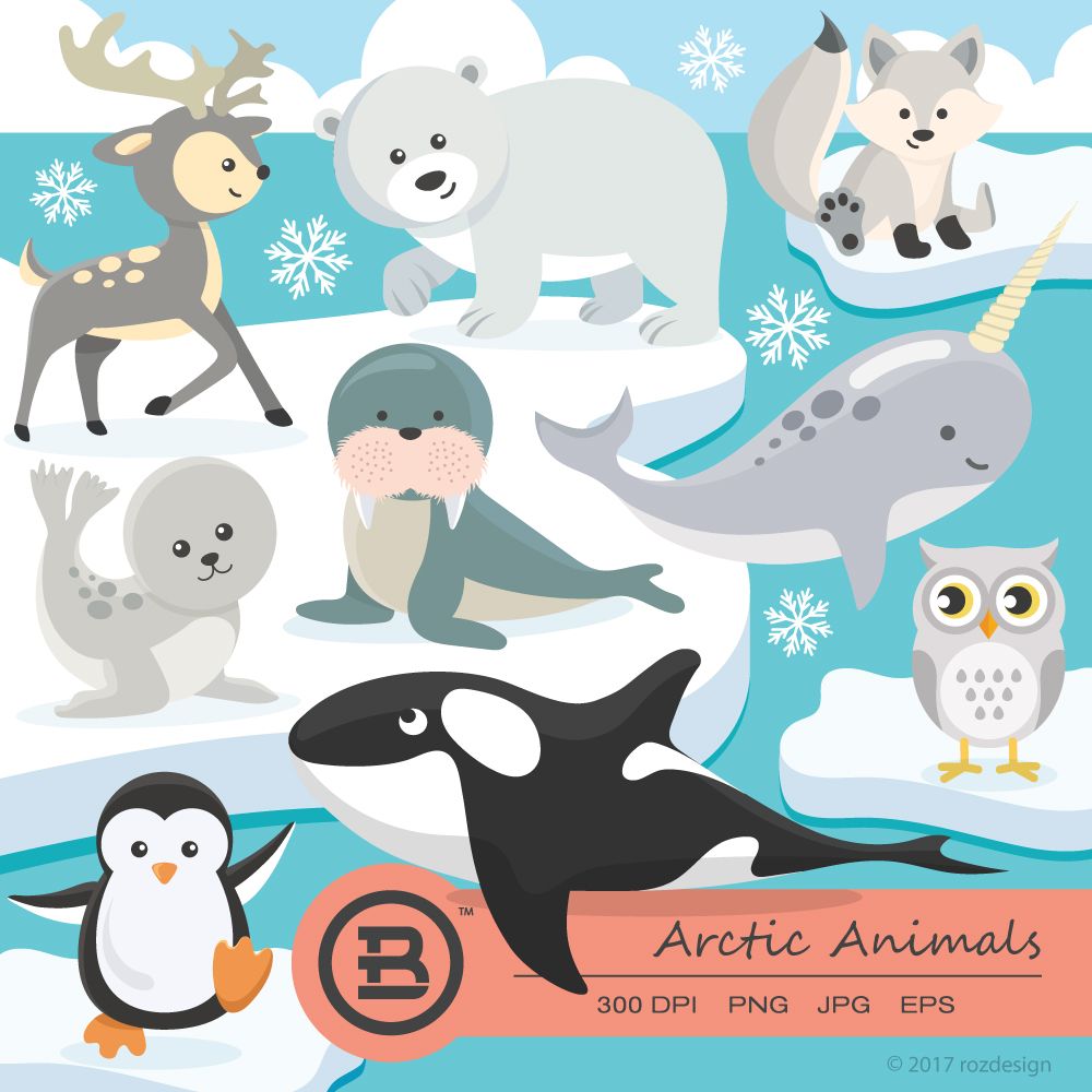 Arctic Animals clipart, polar bear vector, graphics, penguin.