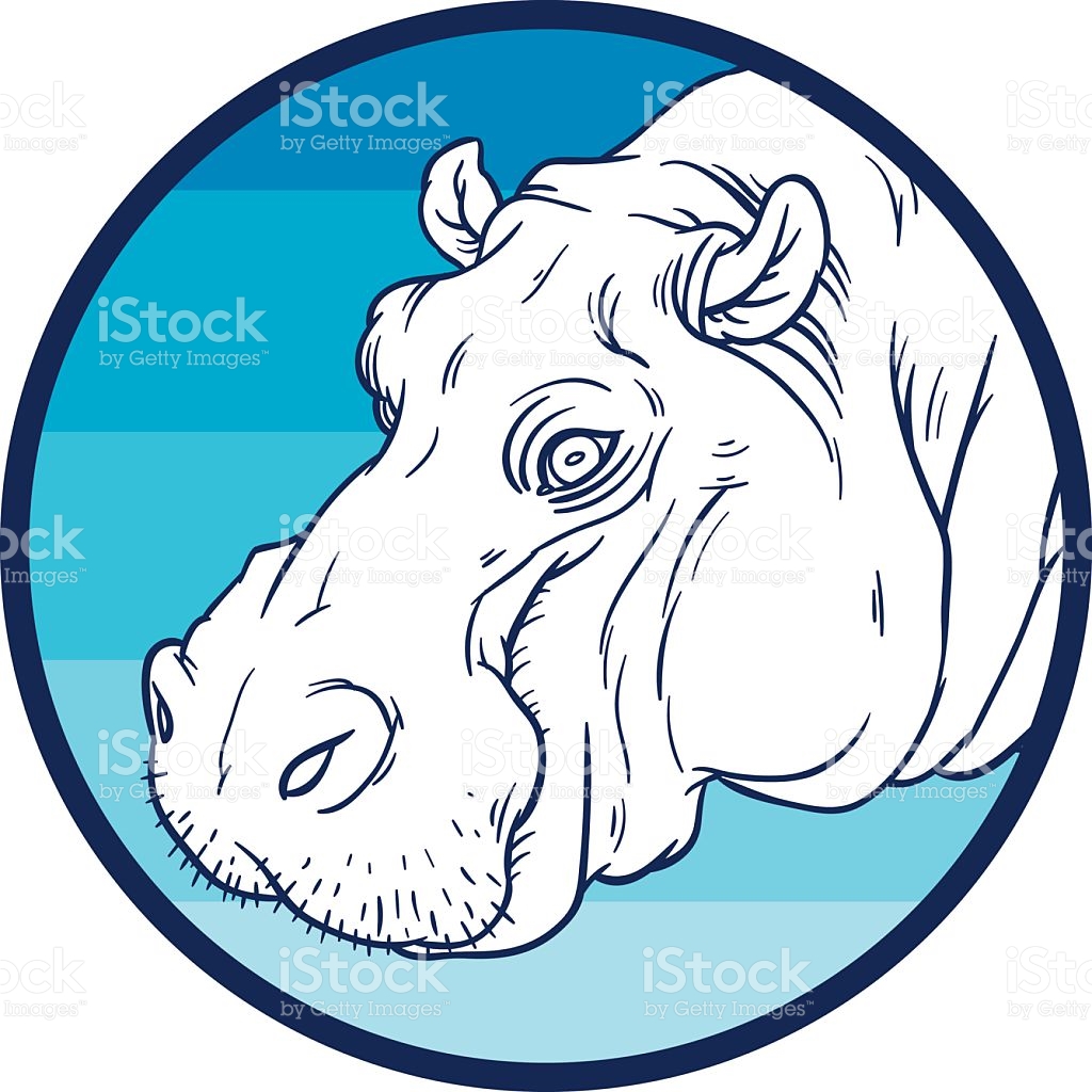 Hippopotamus Amphibius Or River Horse stock vector art 479057702.