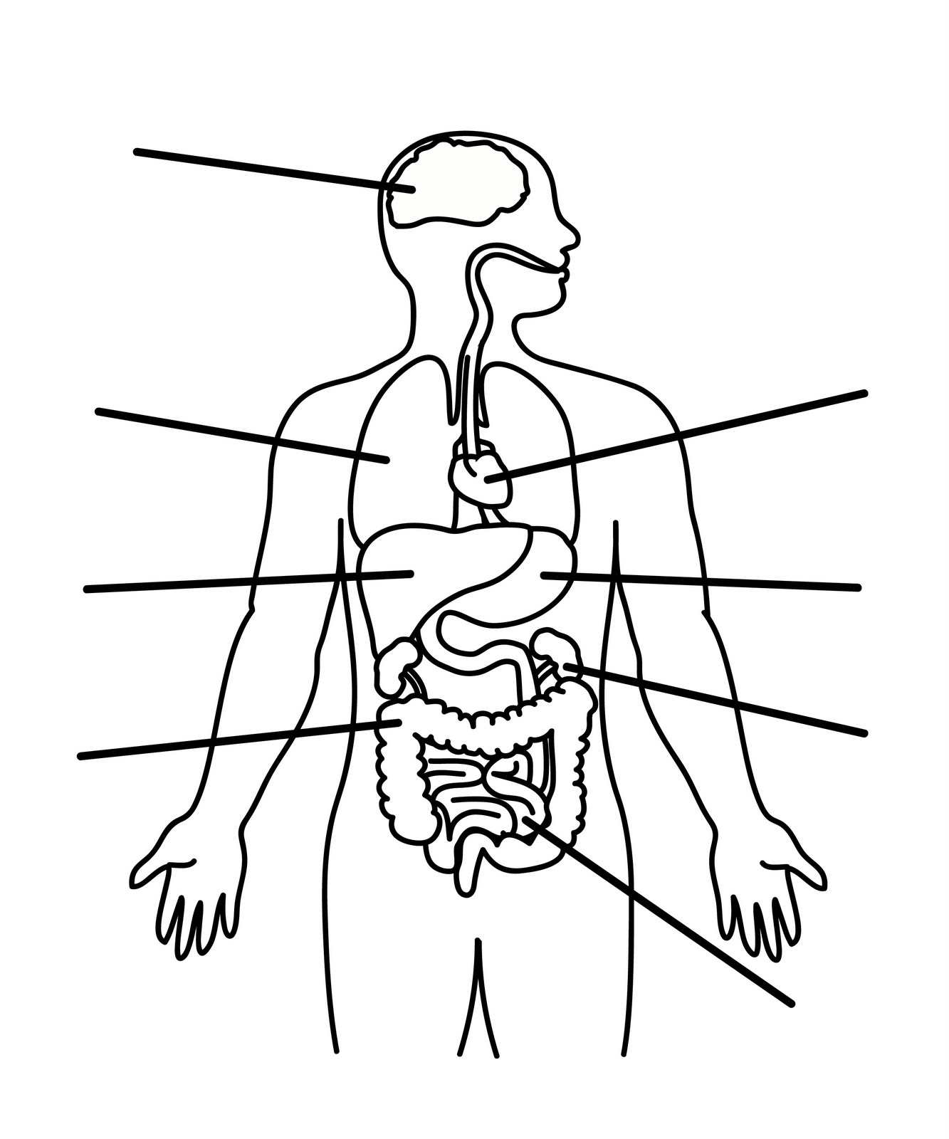 Body Parts Pictures.