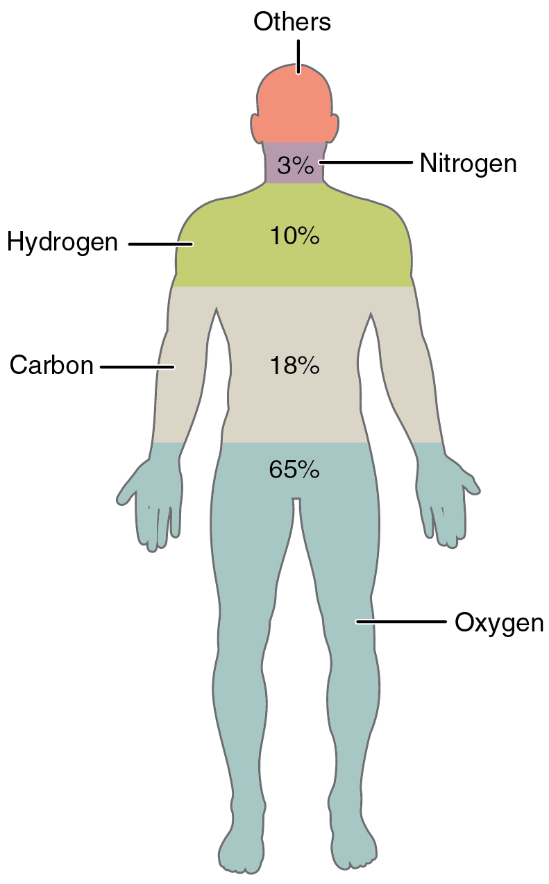 File:201 Elements of the Human Body.