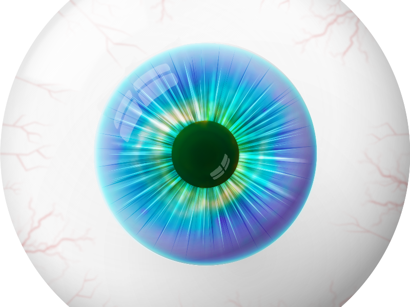 Human Cartoon Eye Image PNG (Isolated.