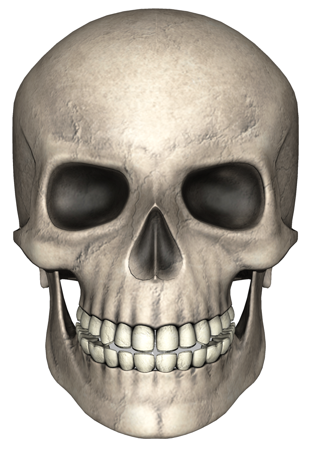 Skull PNG Image.