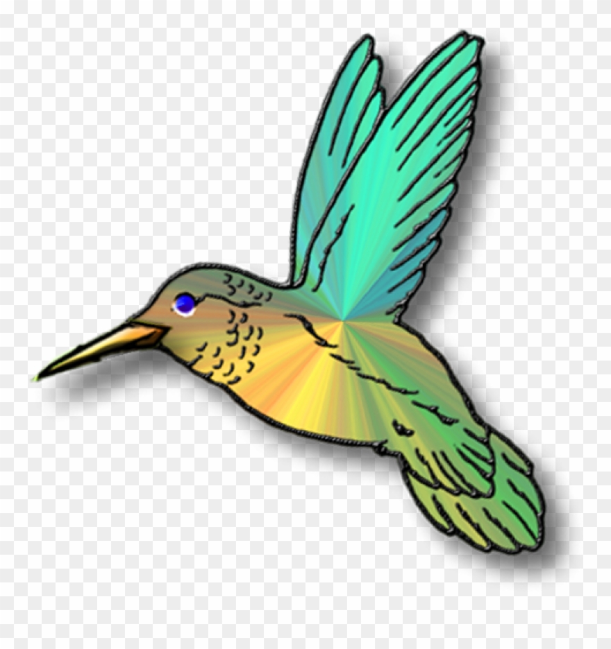 Hummingbird Clip Art Clipart Panda Free Images Animations.