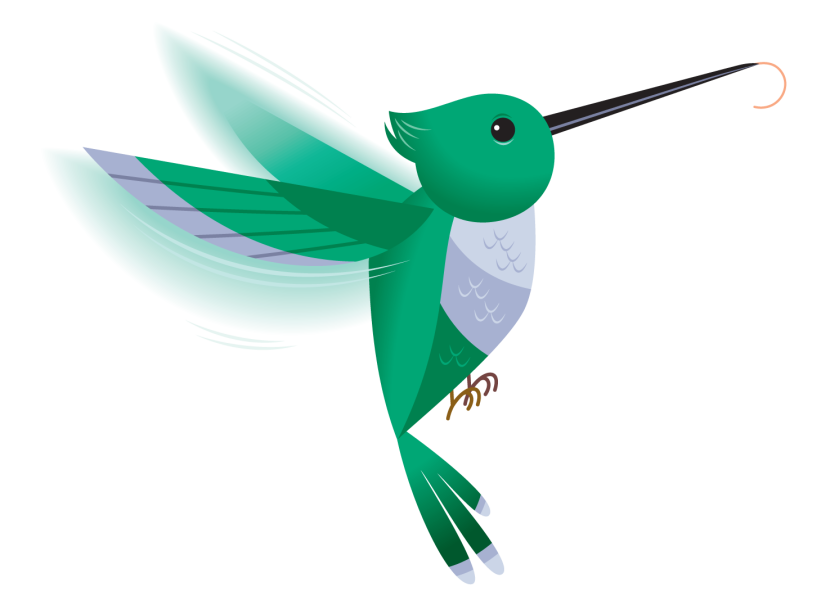 Best Hummingbird Clipart #11904.