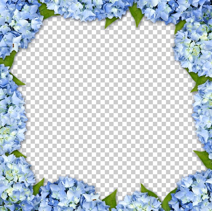 Hydrangea Frame Flower PNG, Clipart, Background, Blossom, Blue.