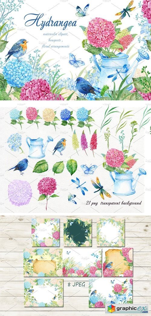 Hydrangea Watercolor Clipart » Free Download Vector Stock.