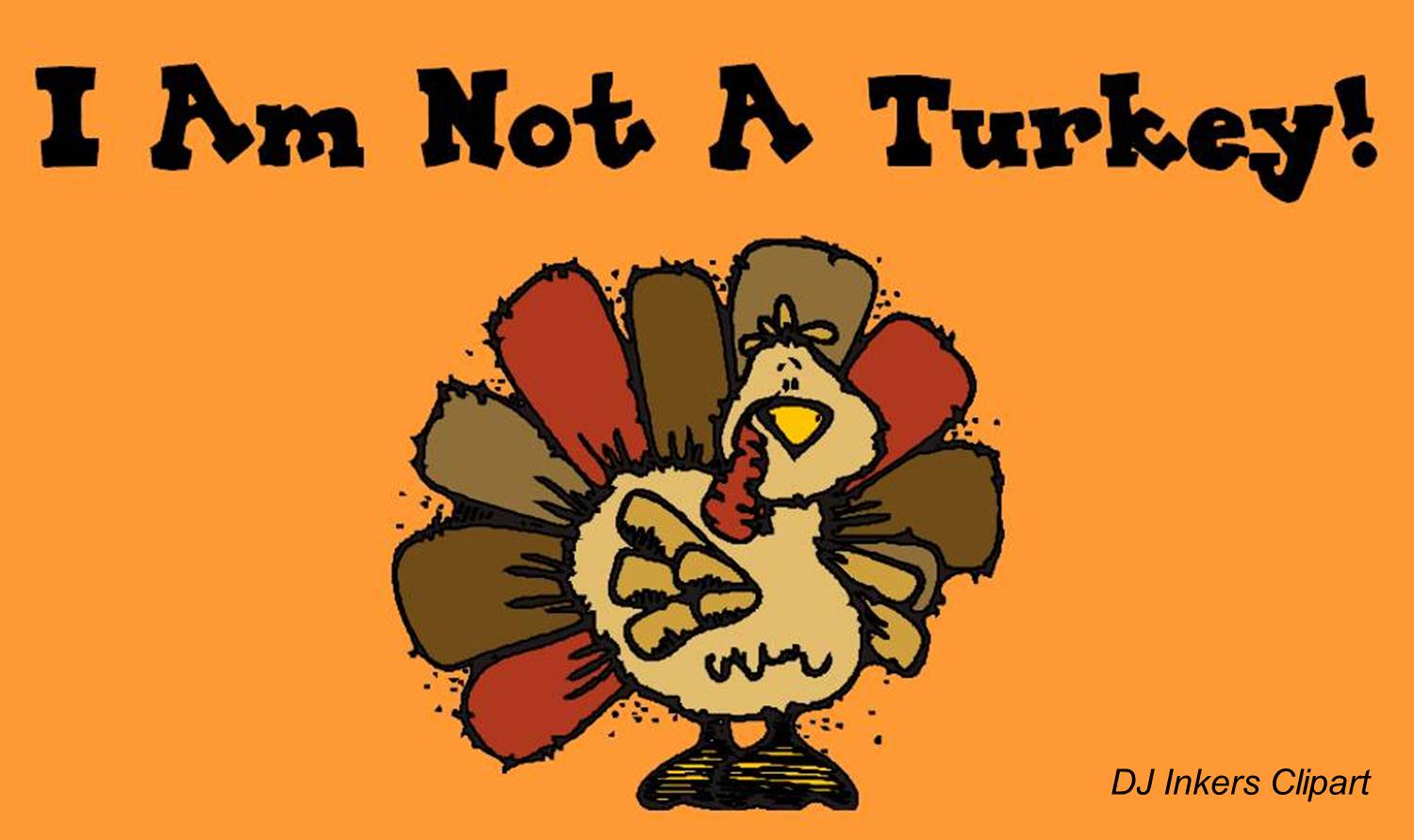 I Am Not A Turkey and Other Student Projects.