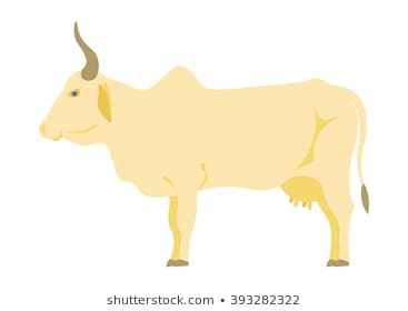 Indian cow clipart » Clipart Portal.