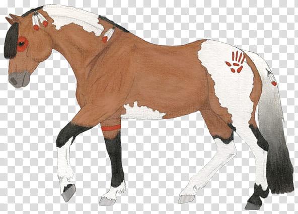 Indian Horse transparent background PNG clipart.