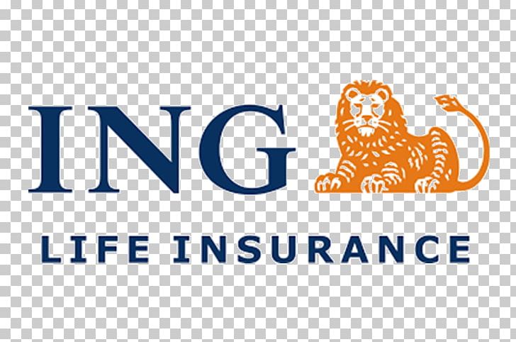 ING Group Exide Life Insurance ING.