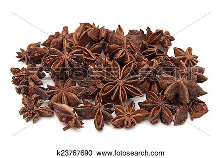 Stock Photography of Star anise (Illicium verum) k23767690.