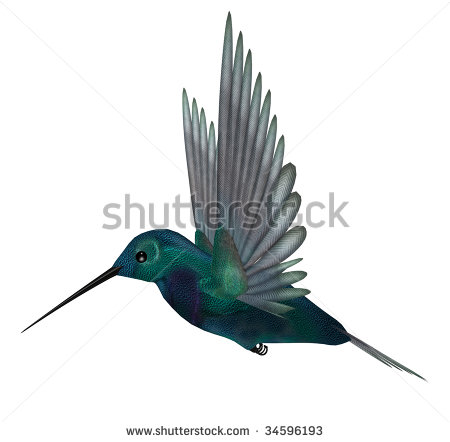 Blue Green Hummingbird Having Brilliant Iridescent Stock.