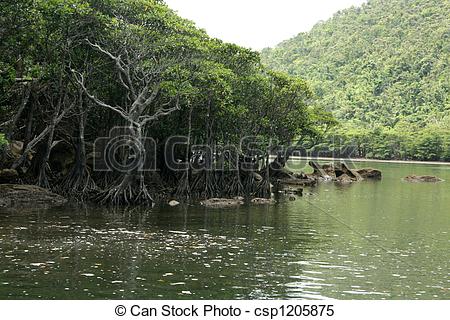 Stock Images of Urauchi River, Iriomote Island, Okinawa, Japan.