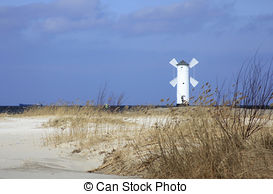 Picture of backwater landscape at the island of Usedom with reed.