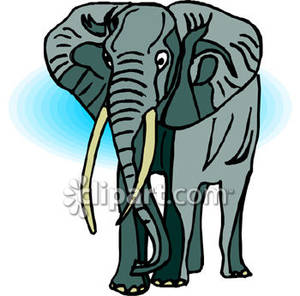 Ivory 20clipart.