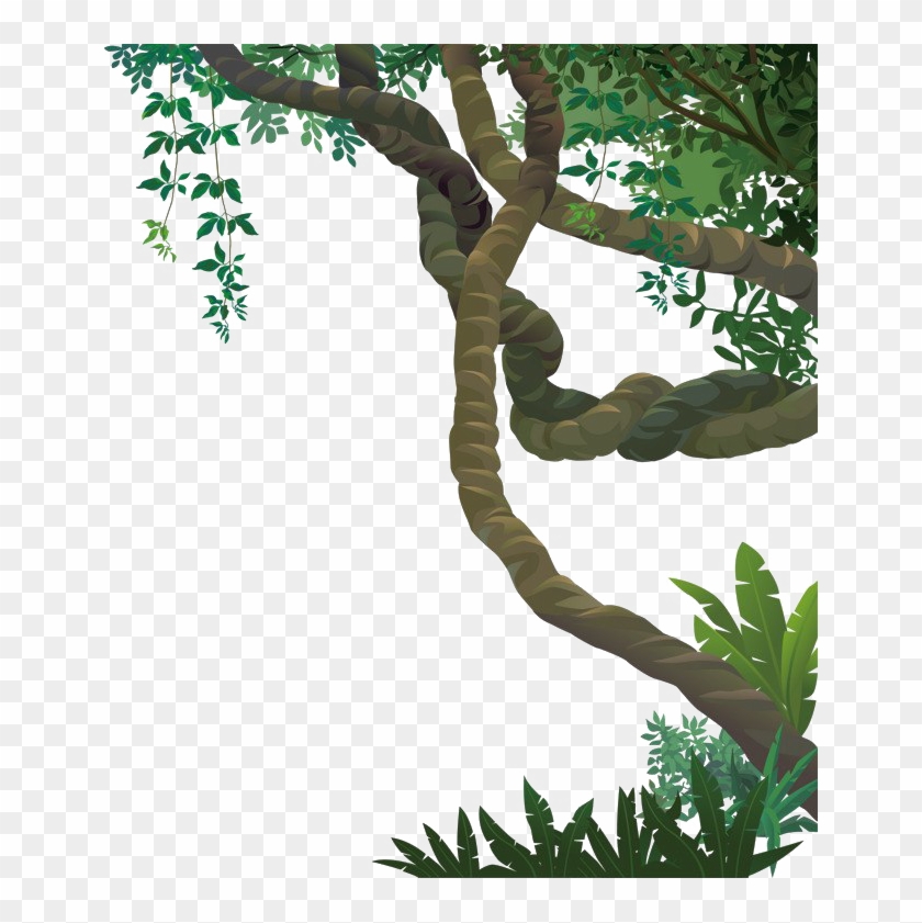 Jungle Vines Png File.