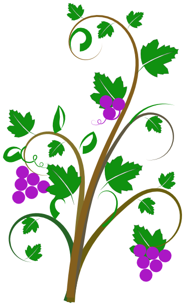 Vine Clipart.