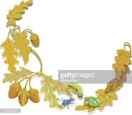 Oak Leaf and Bug Border. Clipart Image.