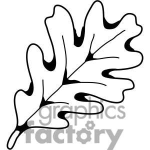 Oak leaf clipart black and white 6 » Clipart Station.