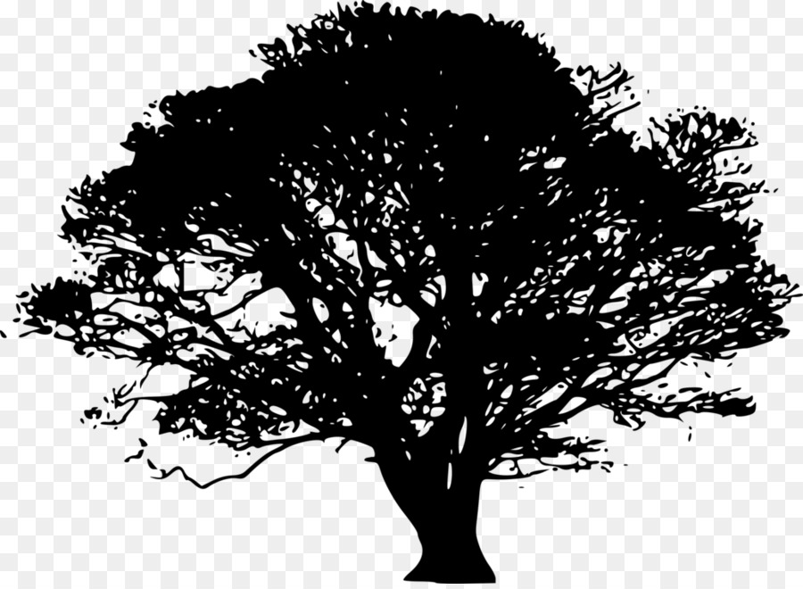 Oak Tree Silhouette png download.