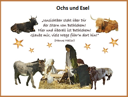 Ochs und esel clipart.