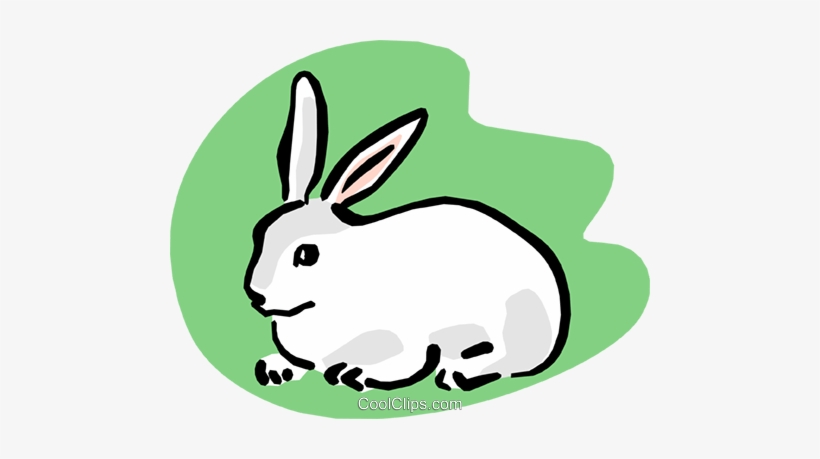 Pet Rabbit Royalty Free Vector Clip Art Illustration.