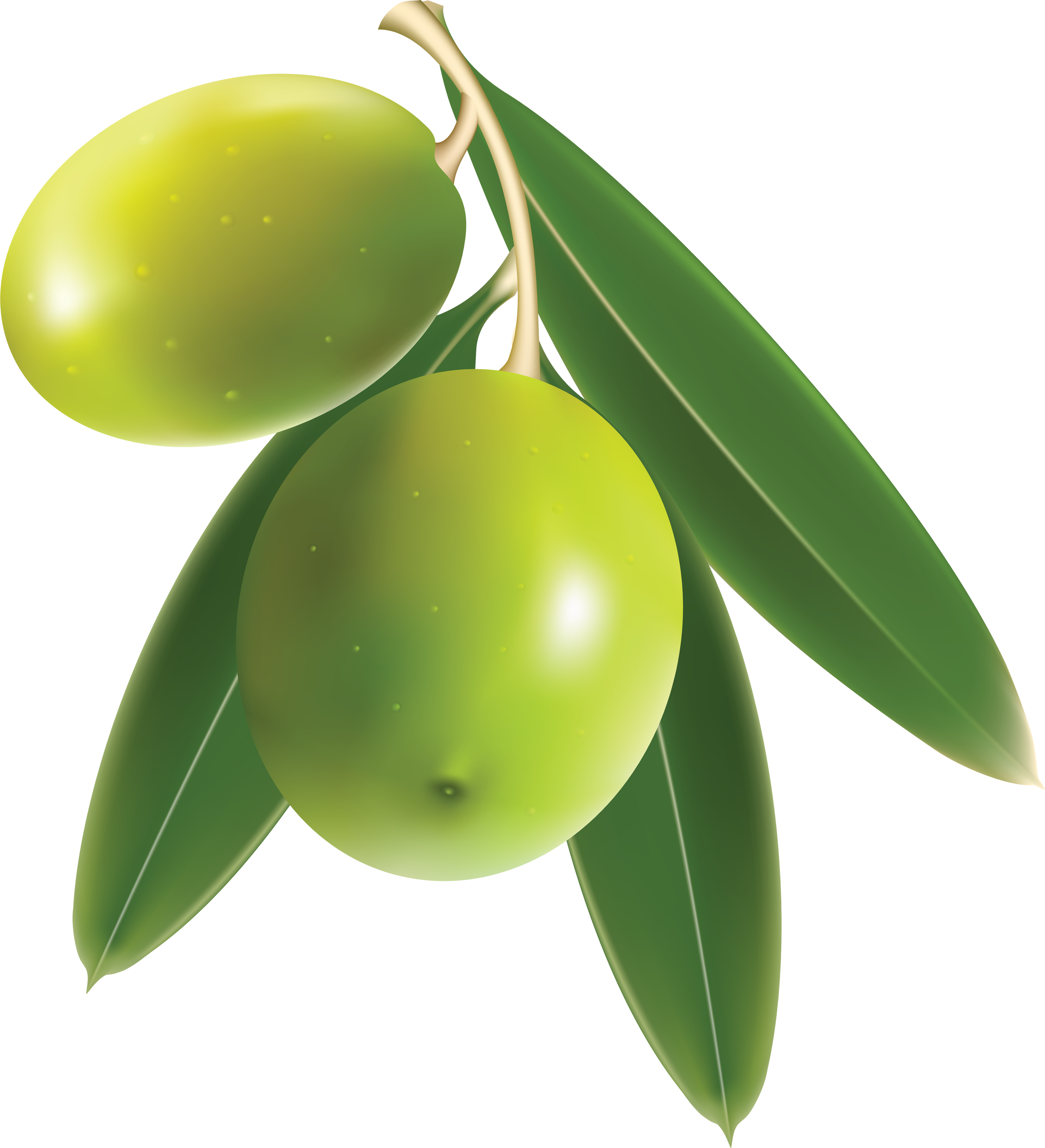 Olives PNG Image.