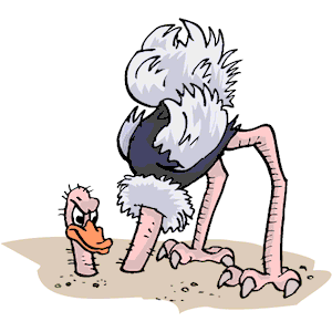 519 Ostrich free clipart.