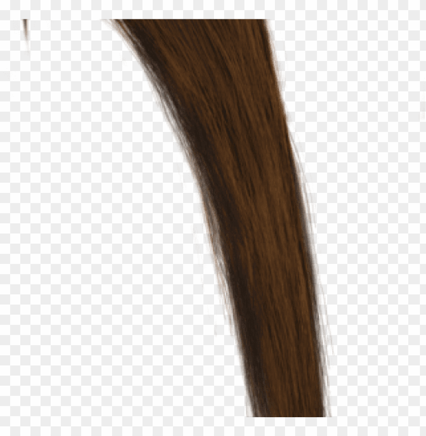 brown hair clipart overlay photoshop.