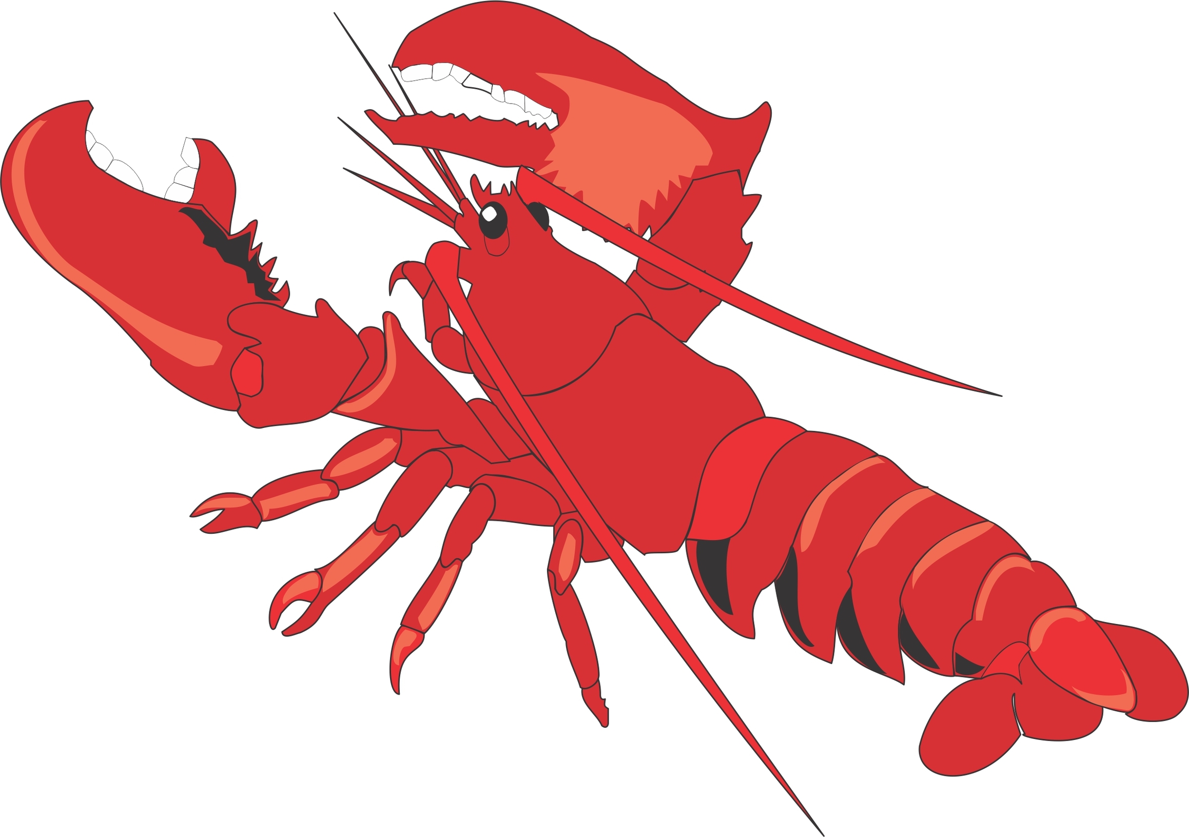 Lobster clip art images free clipart.