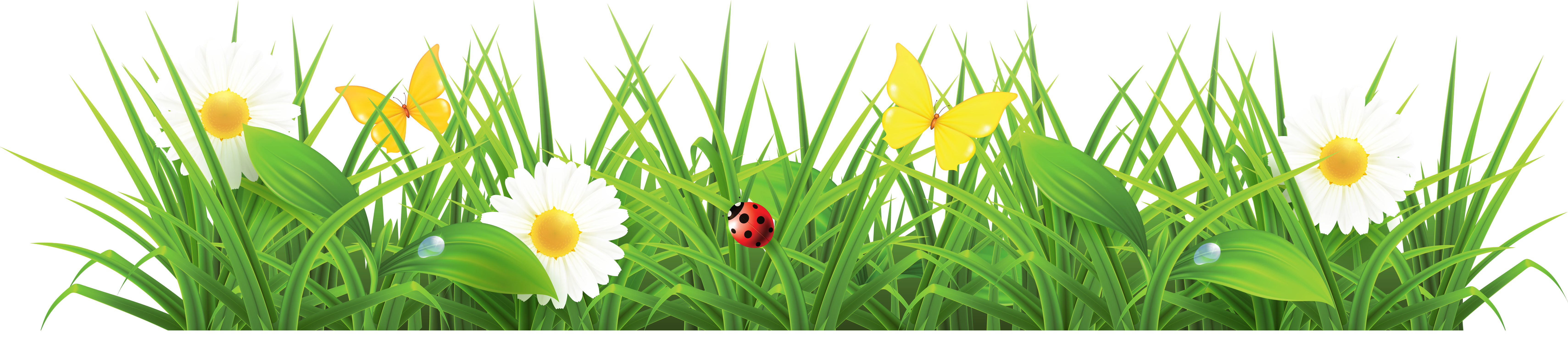 Grass Clip Art & Grass Clip Art Clip Art Images.