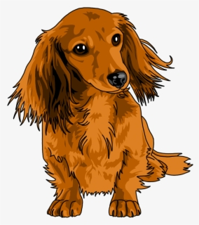 Free Dachshund Clip Art with No Background.