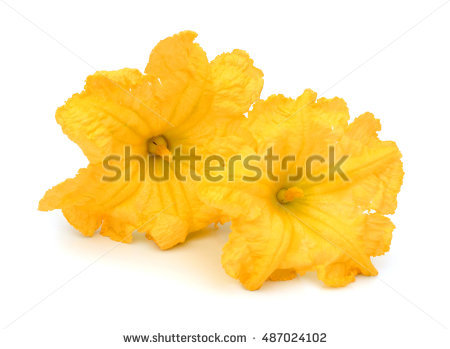 Loofah Stock Photos, Royalty.