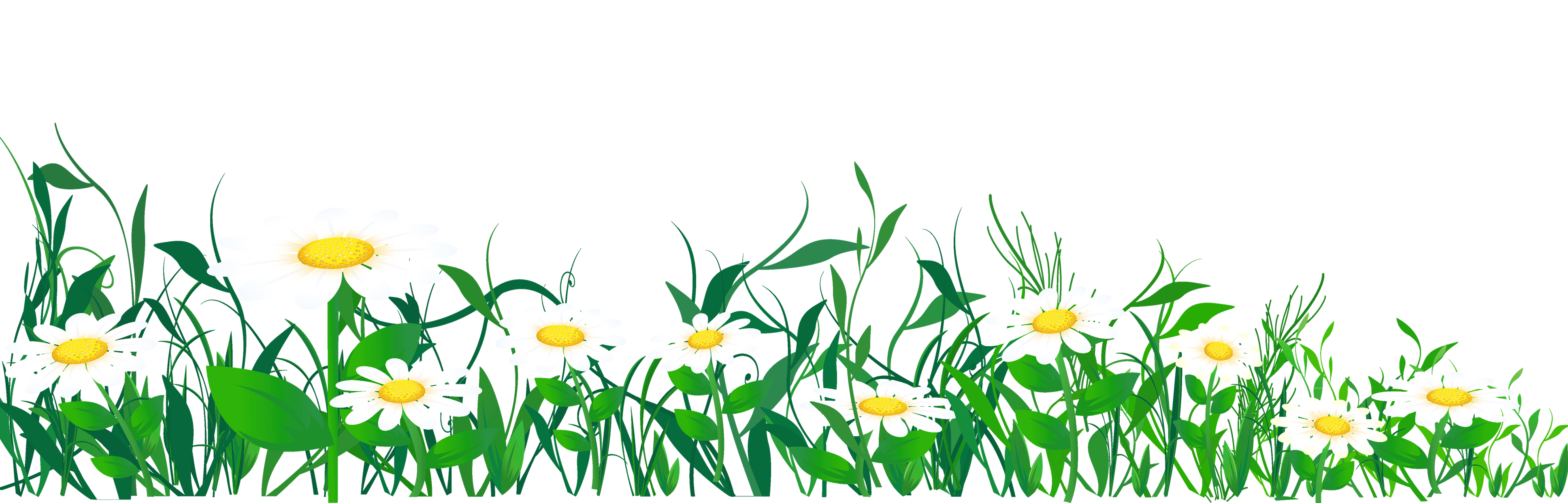 Daisies and Grass Clip Art.