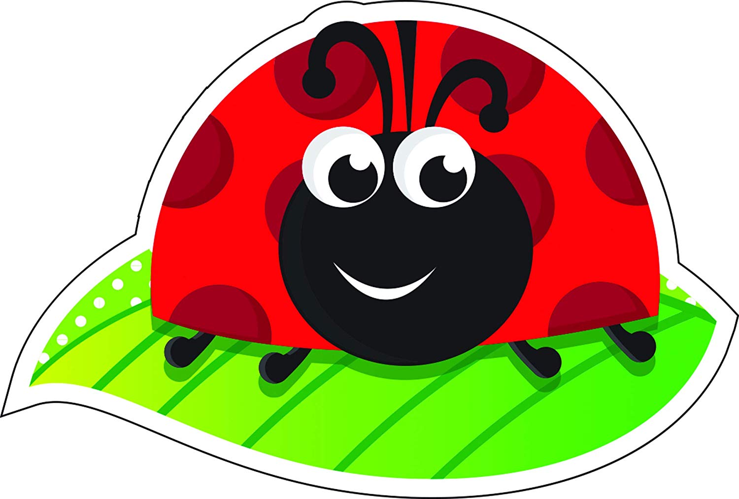 Amazon.com : Magnetic Whiteboard Eraser, Ladybug on Leaf : Office.