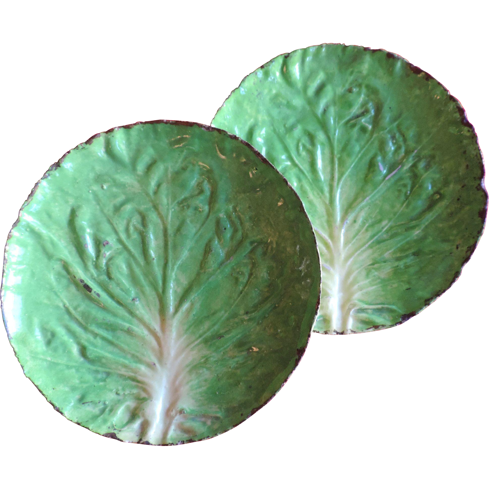 Lettuce leaf plates clipart images gallery for free download.