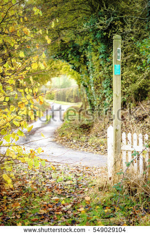 Leafy Lane Stock Images, Royalty.