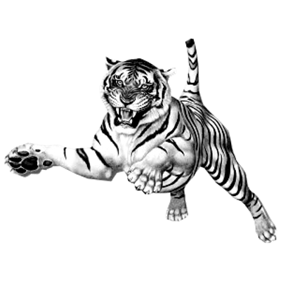 Jumping Tiger transparent PNG.