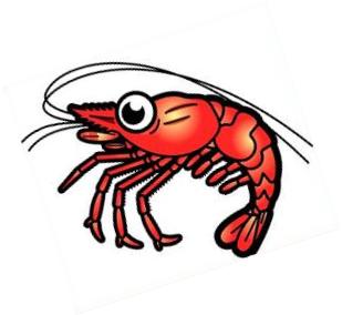 Free shrimp clipart 2.